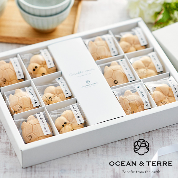 日本直邮 OCEAN&TERRE 