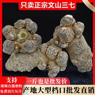 云南文山三七特级20头30头40头非野生田七片中药材37磨粉正品500g