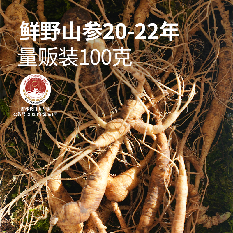 宜样鲜野山参20-22年量贩装100克清洗/不清洗长白山人参野山参