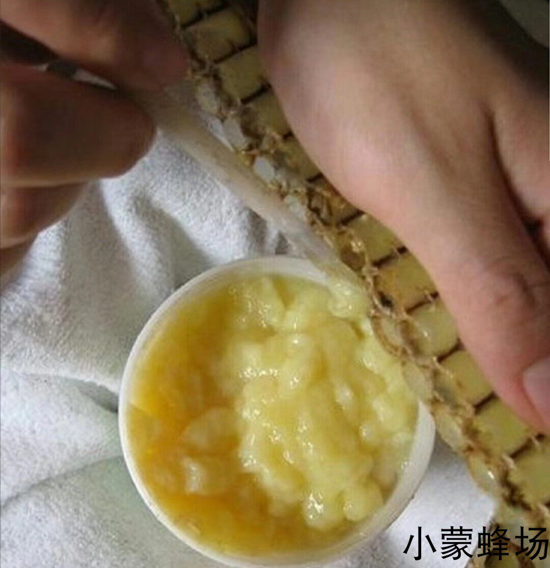 蜂王浆纯正天然蜂皇浆低密度蜂种蜂王乳浆农家自产浆小蒙蜂场