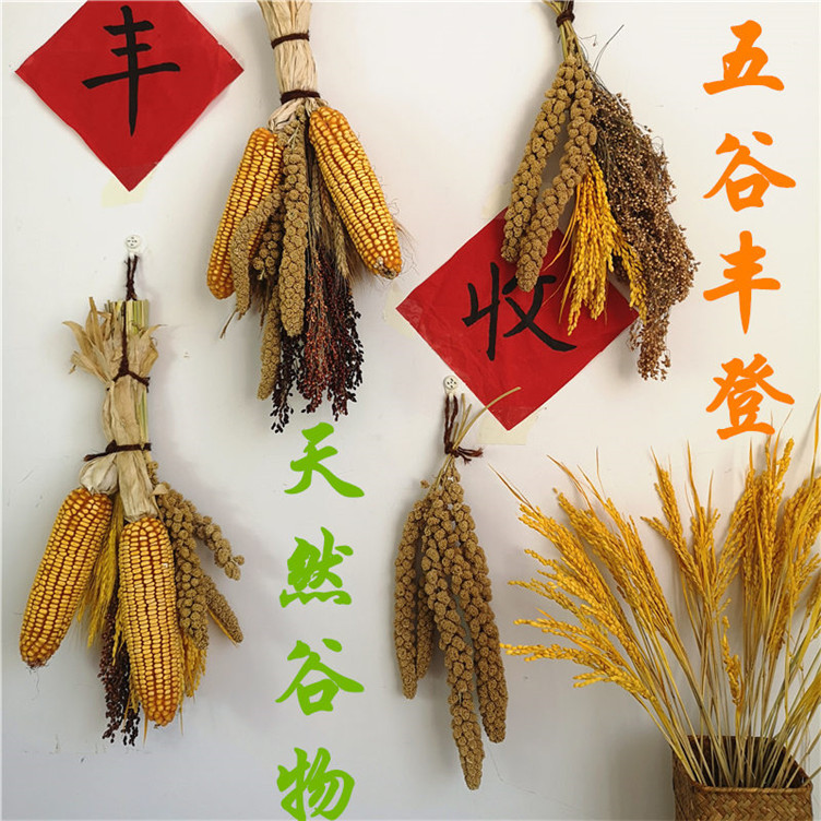 天然稻穗干花装饰麦穗大麦穗丰收稻谷稻子五谷丰登干玉米棒子摆件