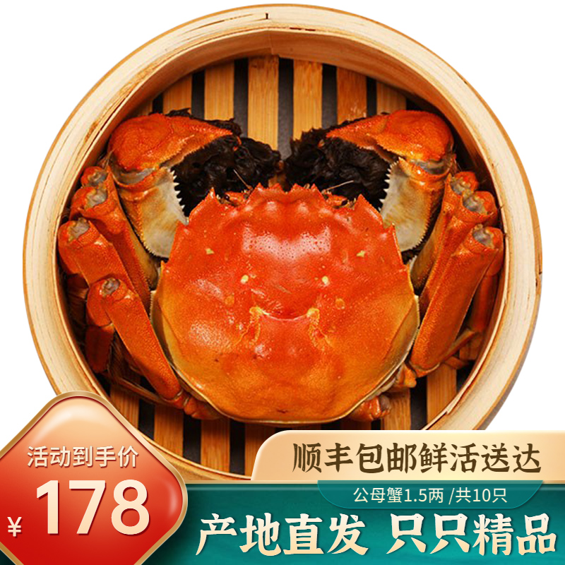 现货六月黄大闸蟹鲜活全公母随蟹机10只超大新鲜水产螃蟹礼盒特大|msdalam kategori daging perikanan/Buah-buahan segar dan sayur-sayuran/dimasak, makanan laut/produk akuatik/produk, ketam, ketam - dari Buy2taobao.com untuk memberikan perkhidmatan ejen Taobao profesional membeli
