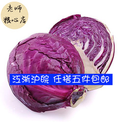 【老师粮心店】紫甘蓝1000克 紫包菜紫球生菜沙拉菜