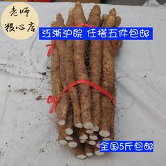 【老师粮心店】铁棍山药500g 淮山药铁杆山药蔬菜