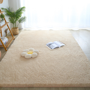 简约现代羊羔绒地毯卧室床边毯客厅茶几垫子房间装饰毛毯地垫脚垫