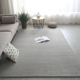 超柔绒地毯客厅2024新款家用茶几地垫卧室床边整铺毯子垫地可裁剪