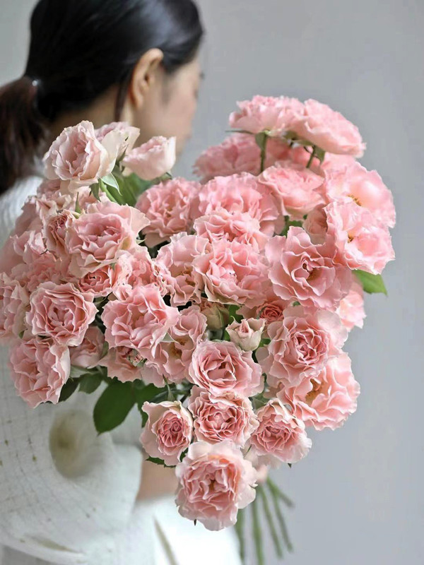 季风园人鱼公主粉色多头玫瑰鲜花速递上海同城江浙沪两扎包邮家用