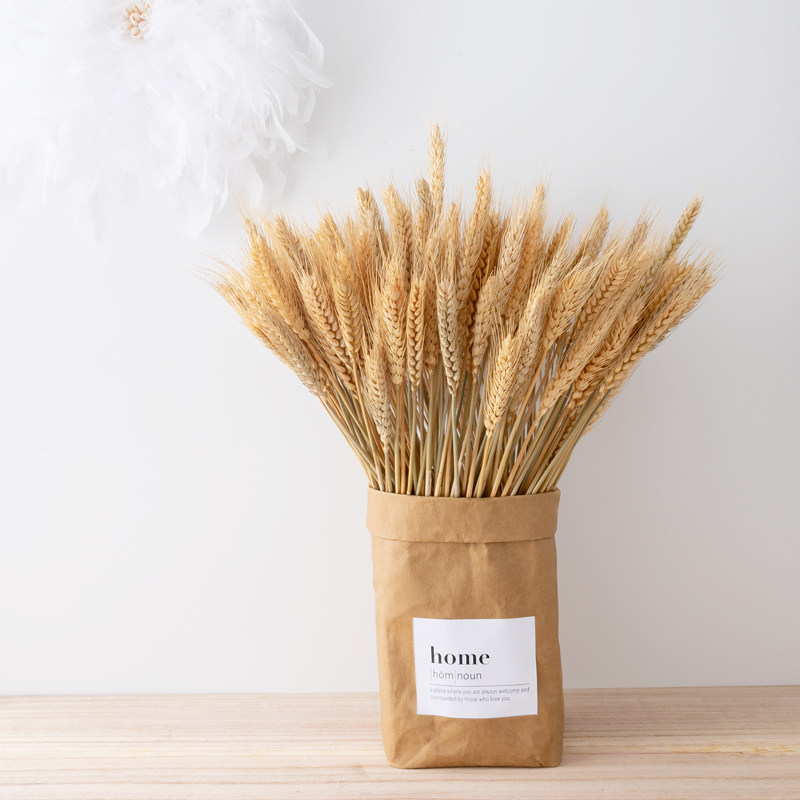 麦子干花包开业乔迁家居摆件橱窗田园森系ins风纸袋装饰天然麦穗