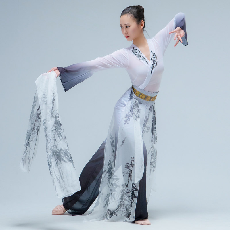 古典舞蹈服女飘逸成人艺考雪纺渐变剑舞古风芒种中国风水袖演出服