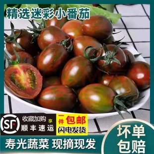 【顺丰到家】迷彩小番茄圣女果现摘樱桃西红柿农家纯天然孕妇水果
