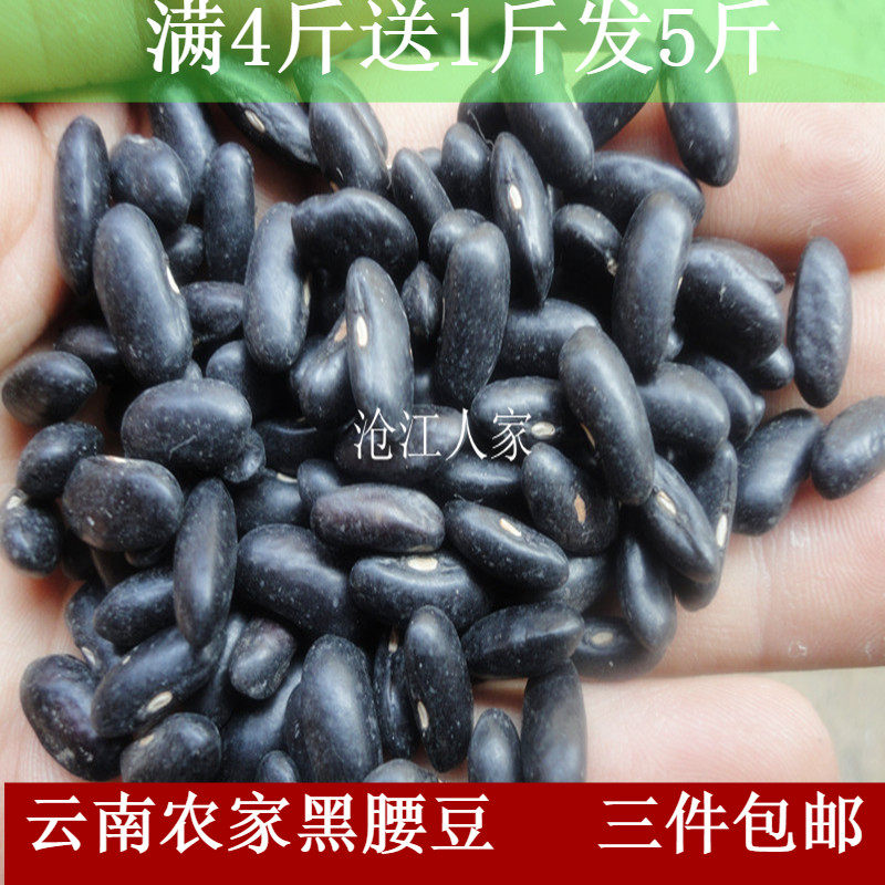 云南农家黑芸豆新菜豆饭豆腰豆农家黑豆五谷杂粮500g件3件包邮