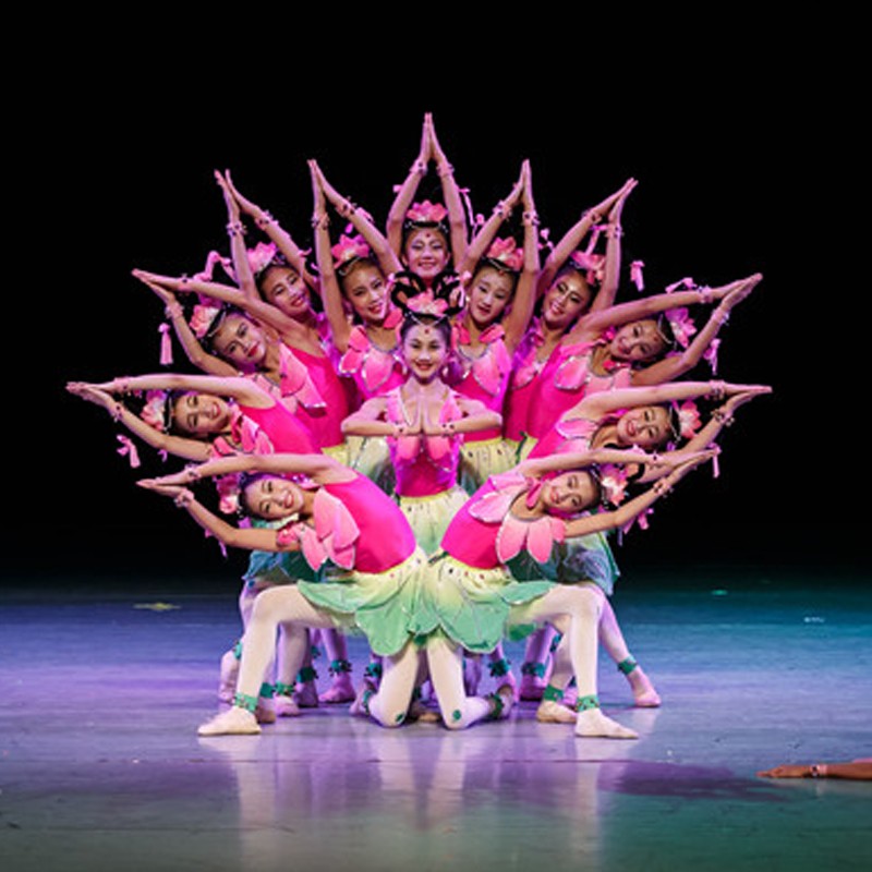 儿童荷花裙花儿朵朵古典舞蹈演出服敦煌唯舞独尊莲花童子表演服装