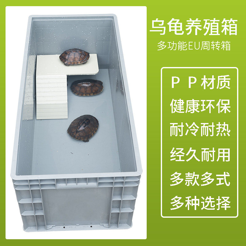 新品黄缘盒龟饲养箱半水龟养殖箱安缘龟箱台缘龟箱