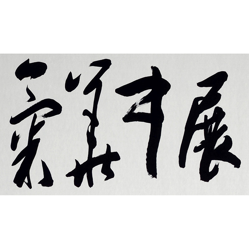 rp669 单国强 《书法》