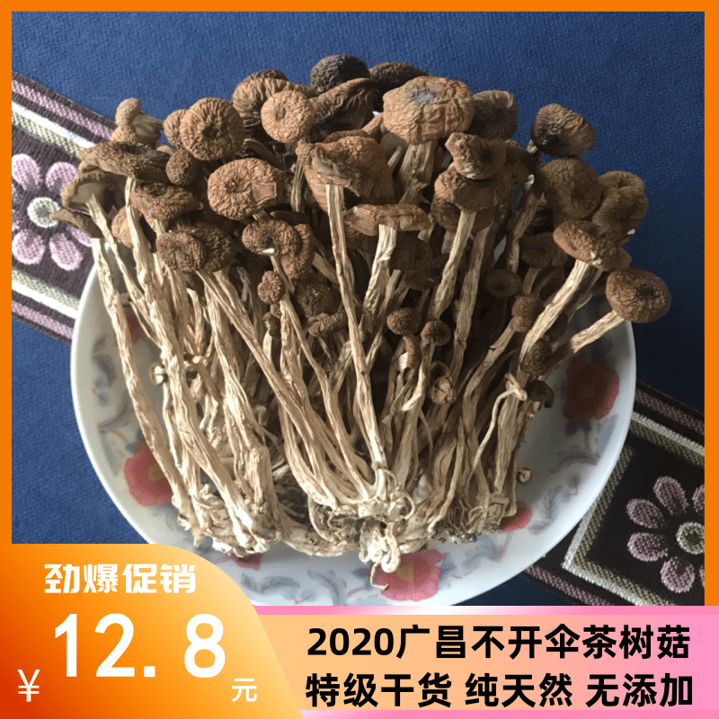 21年江西广昌新鲜茶树菇干货小帽不开伞营养菌菇100g农村自产直销