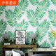 北欧风格壁纸 ins东南亚芭蕉叶热带雨林植物客厅卧室电视背景墙纸