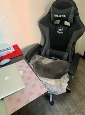 ergoup有谱和保友哪个好，使用测评报告曝光