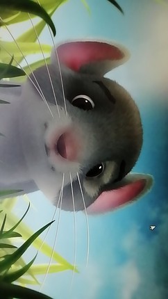 真实评测哈尼艾芙狗粮质量怎么样使用一个月评价