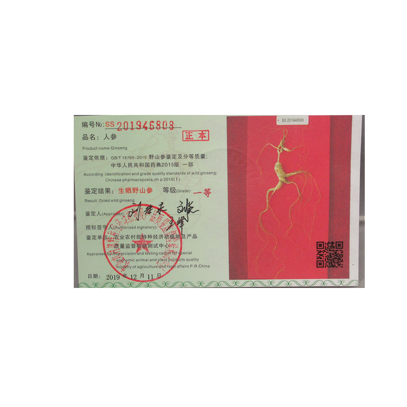 野山参人参东北野山参林下参国检证书一等ss201946808