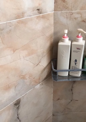 吕和阿道夫洗发水哪个好，深度测评剖析