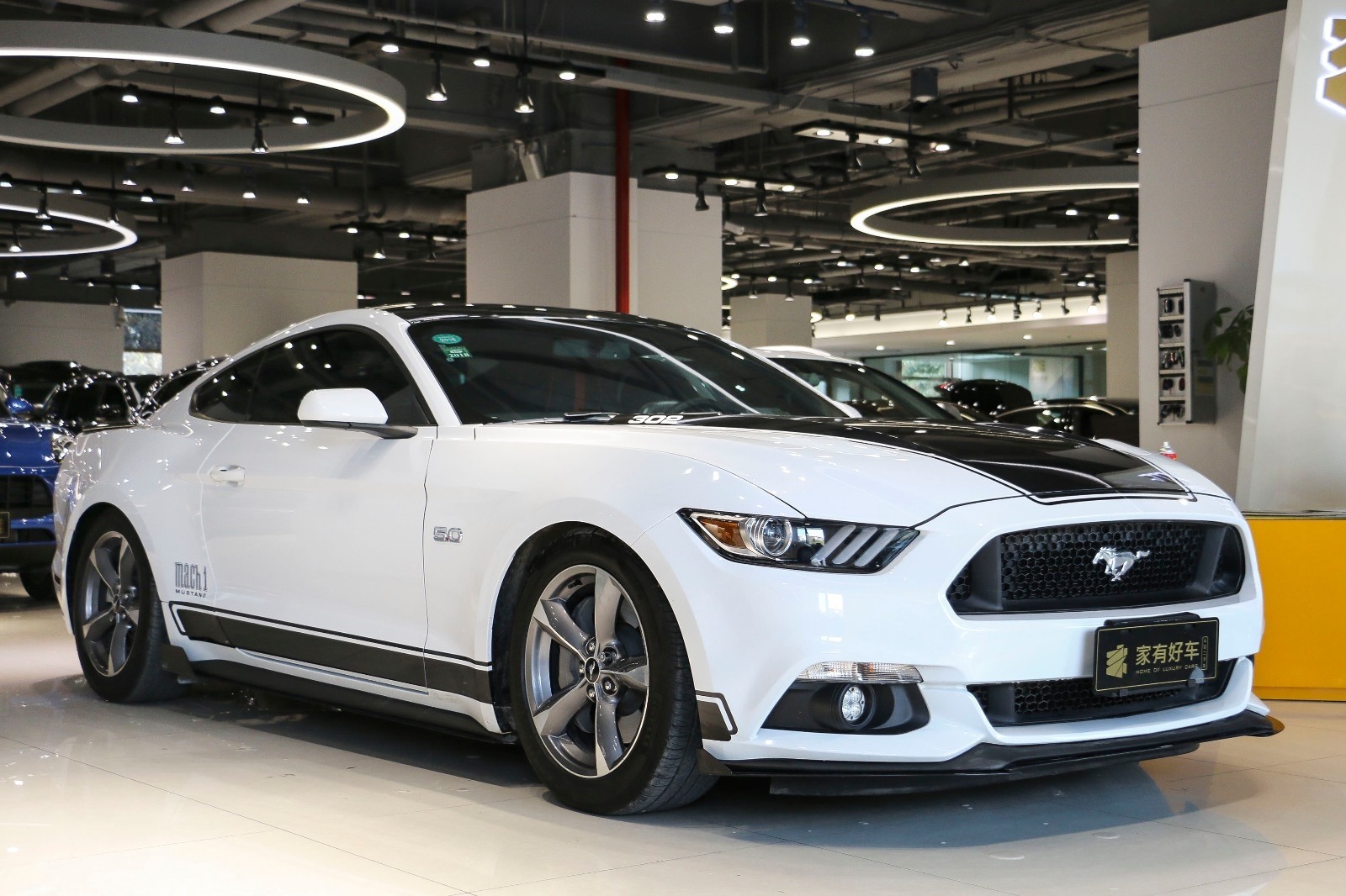 福特_mustang_福特(进口) 5.0l gt 运动版