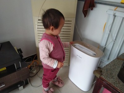 独家解析IAM和airx空气净化器哪个性价比高?哪个除甲醛效果好