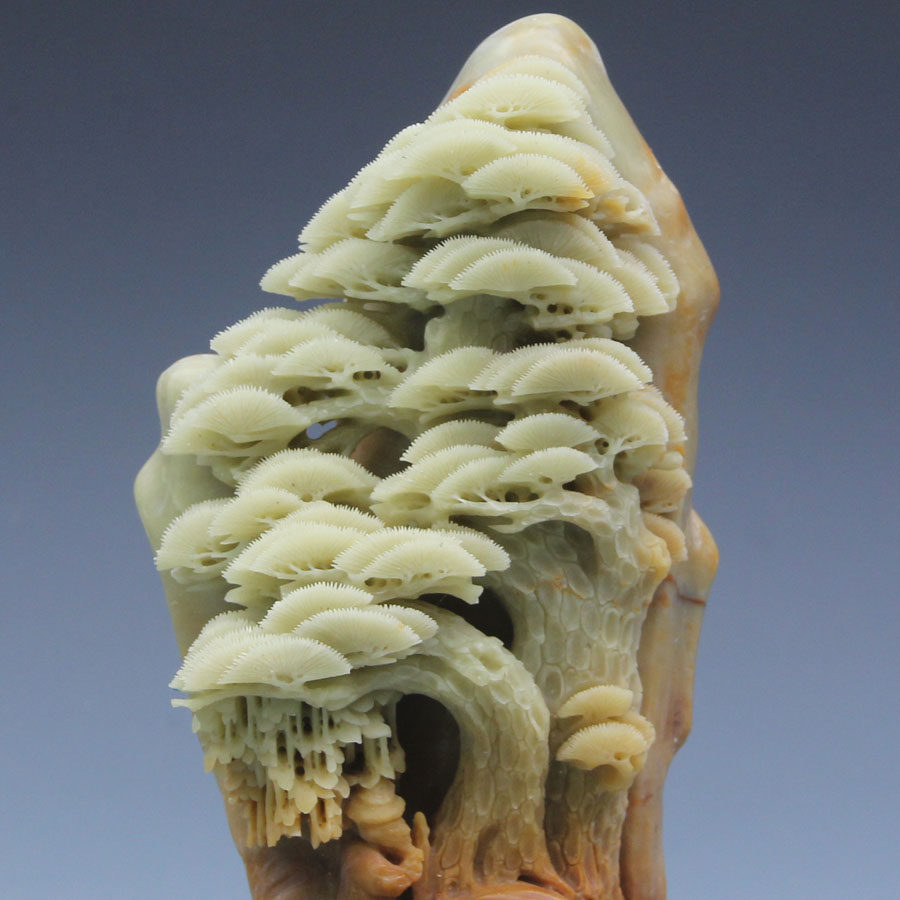 《迎客松》寓意美好,居家摆放