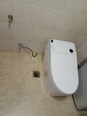 协助看看:TOTO超漩式智能马桶CES6631B好不好用?值得买吗?