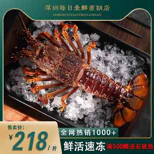 大澳龙鲜活冷冻澳洲大龙虾特大速冻火龙虾海鲜水产2-6斤一只装