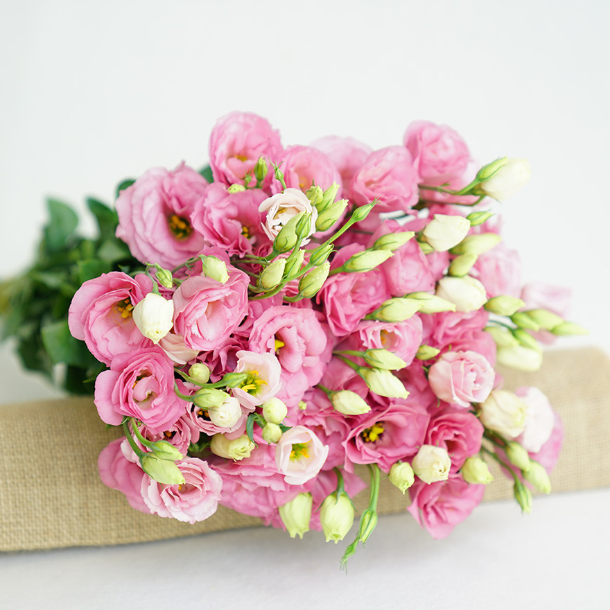 【降至29.9元】花知花卉洋桔梗鲜切花家居花束颜色随机发