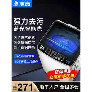 志高6.5/8.5kg洗衣机全自动家用小型租房宿舍波轮洗脱一体带烘干