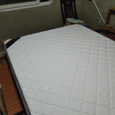 【真相揭秘】SW棕垫怎么样？分析下耐不耐用？