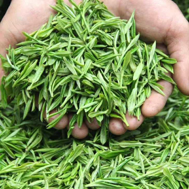 厂家批发绿茶500g四川蒙顶山茶，特级散装浓香毛峰碧螺春