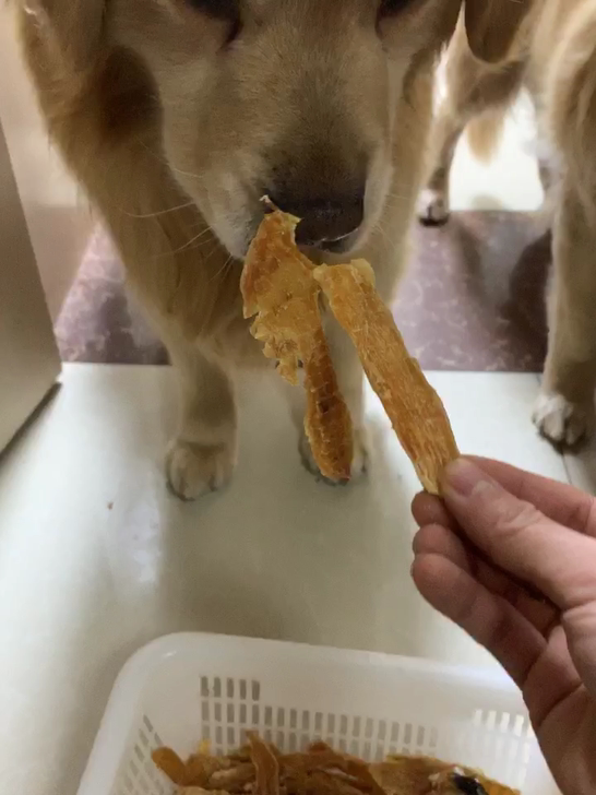 自制宠物零食鸡鸭肉干狗狗磨牙零食训练奖励补充能量高蛋白低脂肪