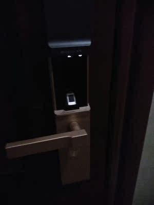 讨论亲身体验：德国PUSAIRO普赛罗指纹锁怎么样，好不好用呢？