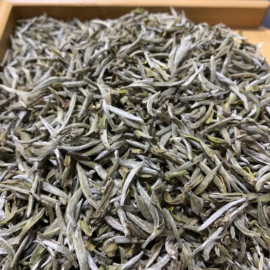 【8斤/4000克】2019年 福鼎白茶 荒野银针