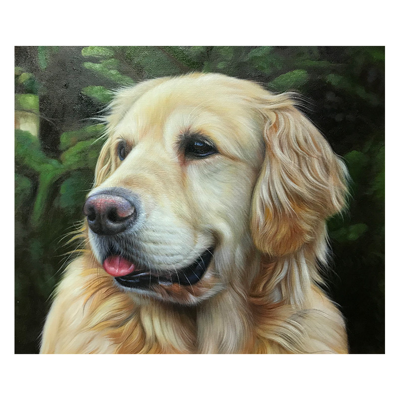 苏章峰《金毛》写实油画