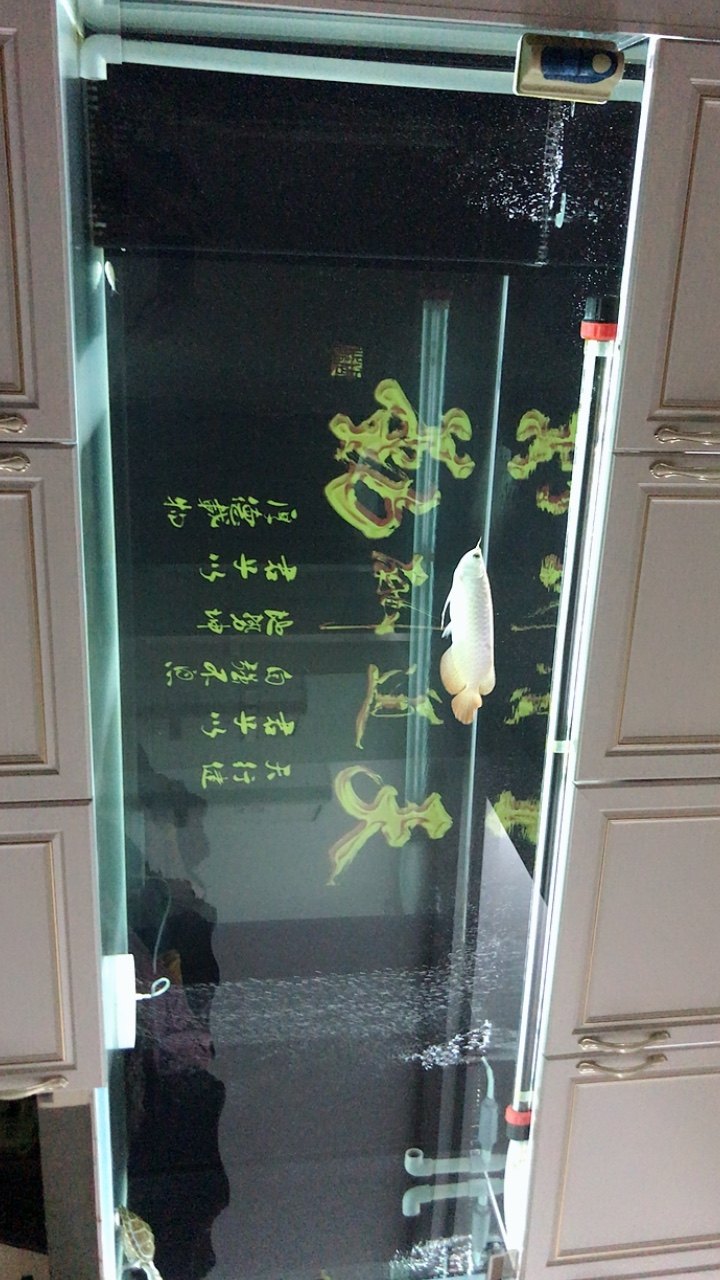 仕瀚净水器shkuf5值得买吗仕瀚shkuf5实用看买家评价