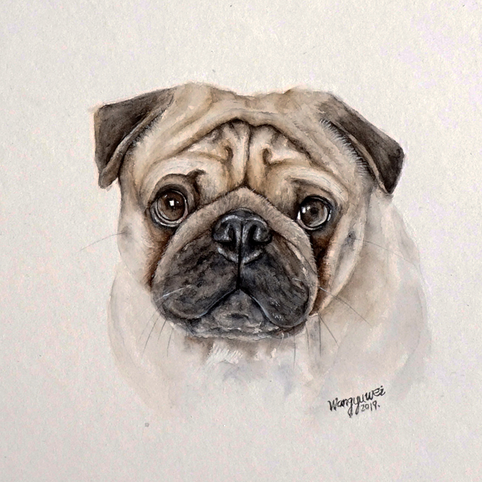 王玉伟《巴哥犬》纸本水彩