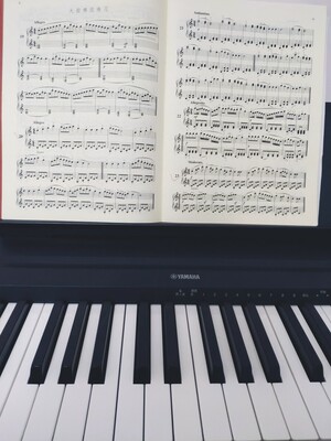 【体验评测比较】道尔顿电钢琴怎么样?这个是品牌吗?