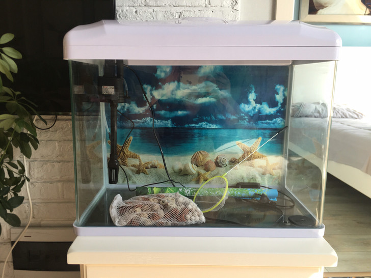 鱼缸海星鱼缸长58厘米