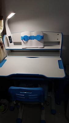 童画林儿童升降小学生学习桌写字桌好不好?桌子质量怎么样?