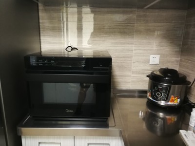 松下NU-TM210W蒸烤一体机网友反馈怎么样?不要欺骗人了