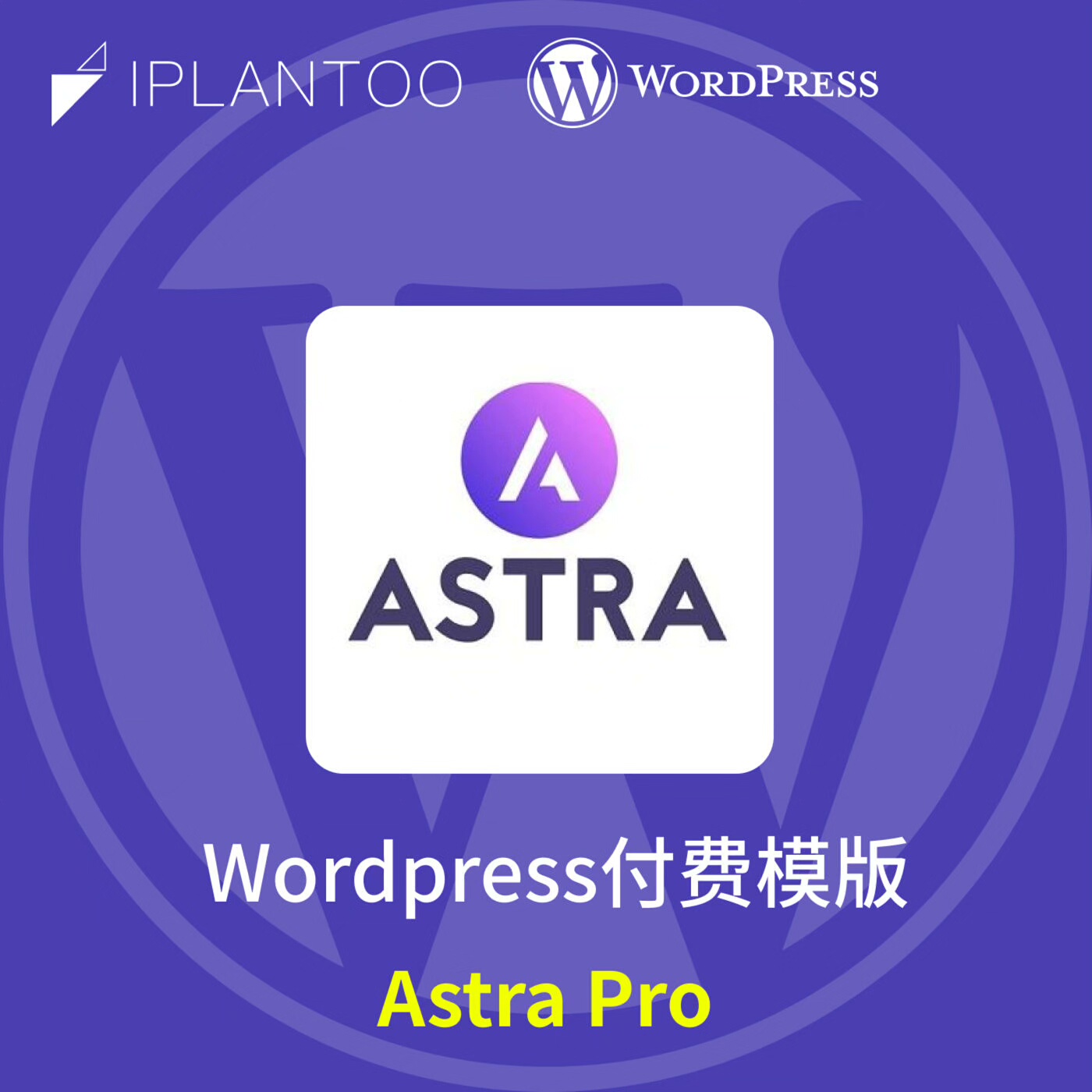 Astra Pro Plus正版Wordpress商业主题模