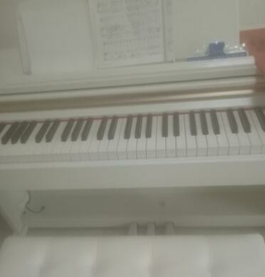 目前看来【头牌】ipusen电钢琴怎么样，是哪里的品牌的？靠谱吗？