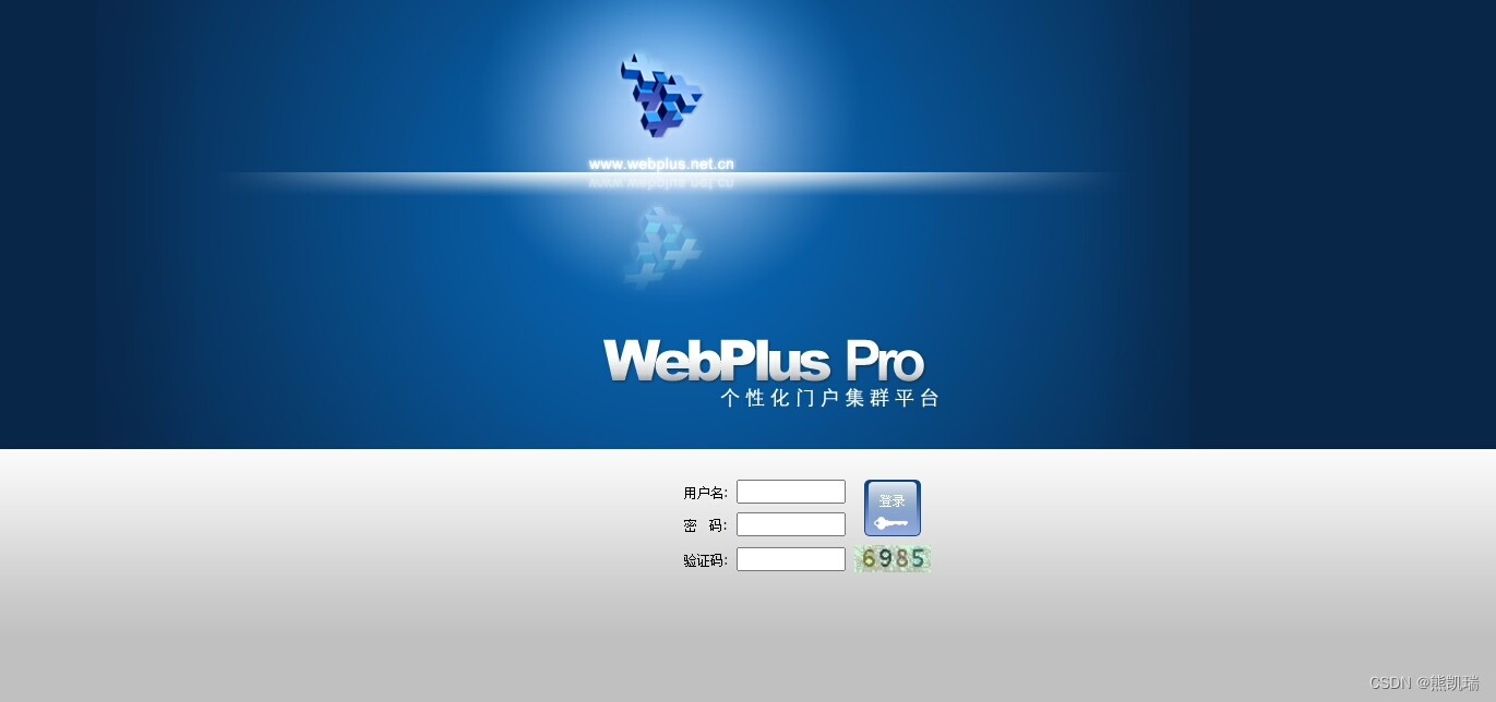 苏迪站群，Webpluspro网站制作，webpluspro