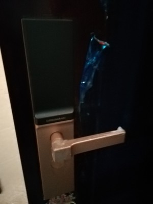 解说【销量第一】德施曼小嘀智能指纹锁怎么样，好不好用？