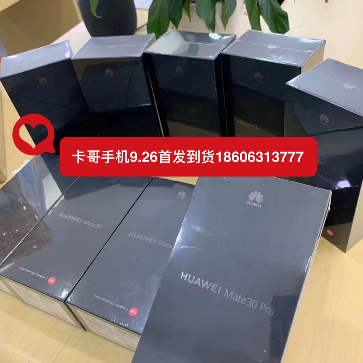 Mate306 1283999元