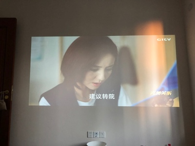 这款钉钉智连 坚果D3-H怎么样？是杂牌吗？