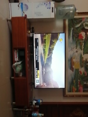 荣耀智慧屏4g版跟2g版区别,多少人不看这里都被忽悠了!